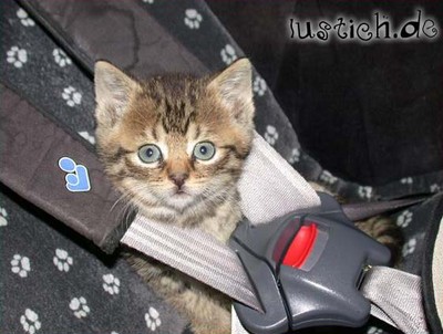 Guuuuuuuuuuuuute Fahrt!